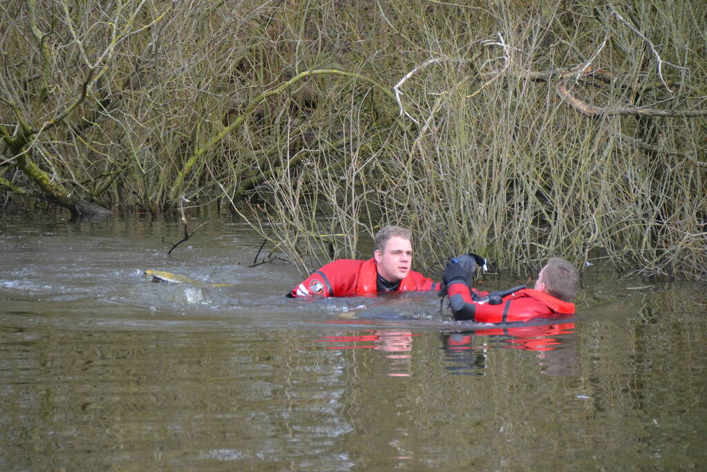 Meerkoet raakt verstrikt en wordt gered door brandweer