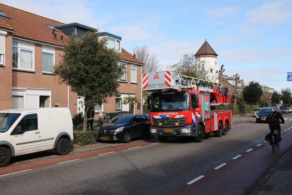 Vogel gevlogen bij reddingsactie