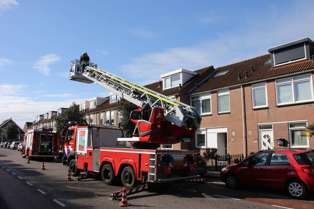Vogel gevlogen bij reddingsactie