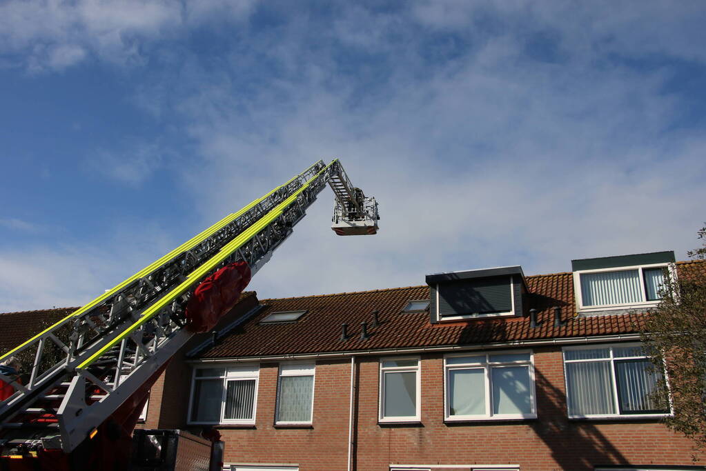 Vogel gevlogen bij reddingsactie