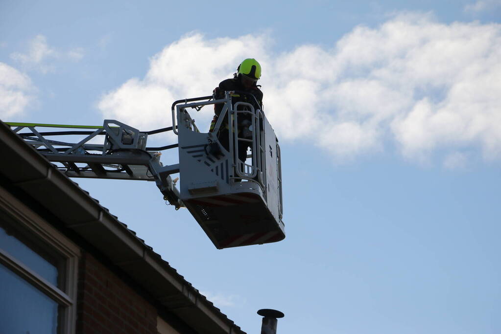 Vogel gevlogen bij reddingsactie