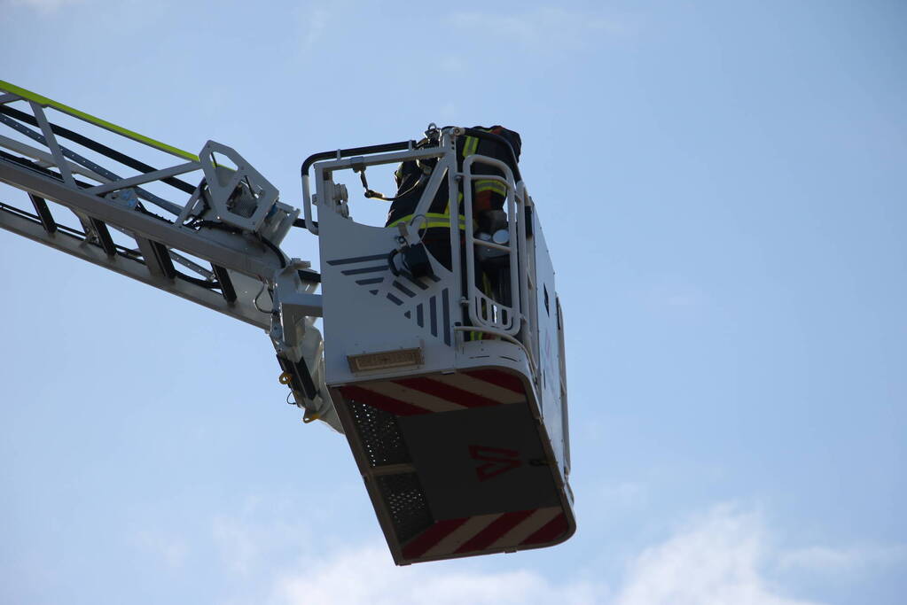 Vogel gevlogen bij reddingsactie