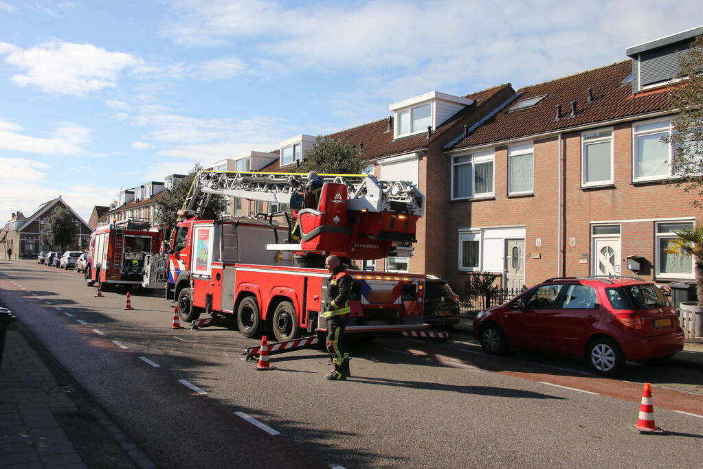 Vogel gevlogen bij reddingsactie