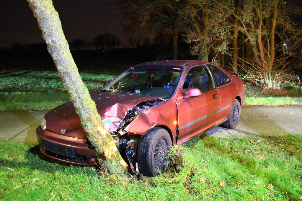 Automobilist botst tegen boom