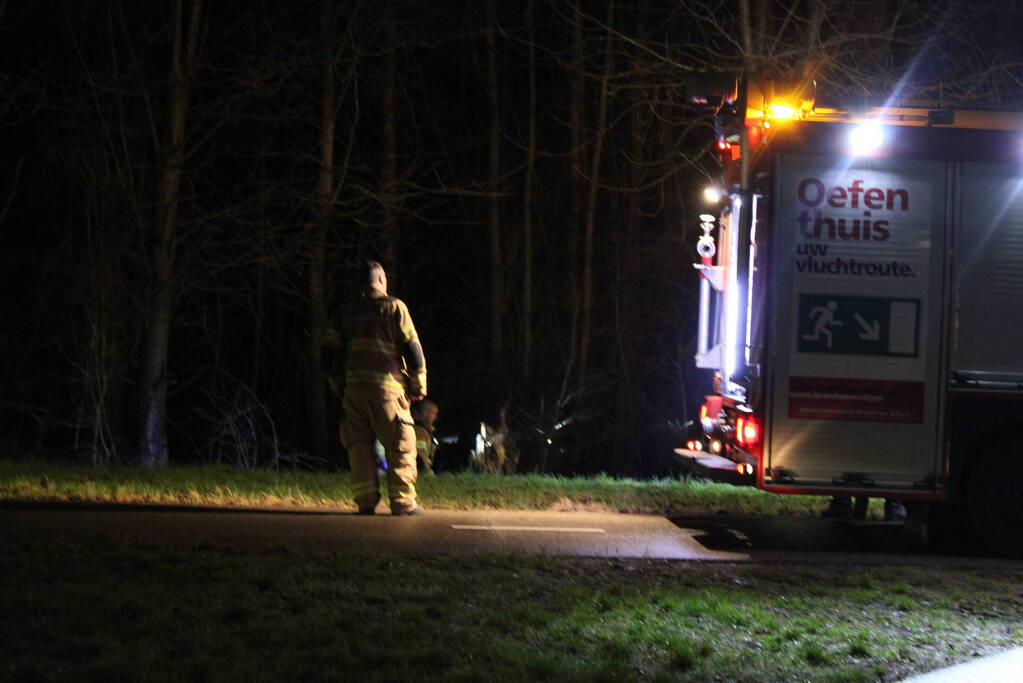 Brandweer blust brandende boom