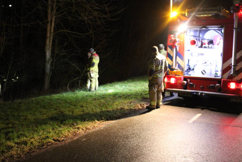 Brandweer blust brandende boom