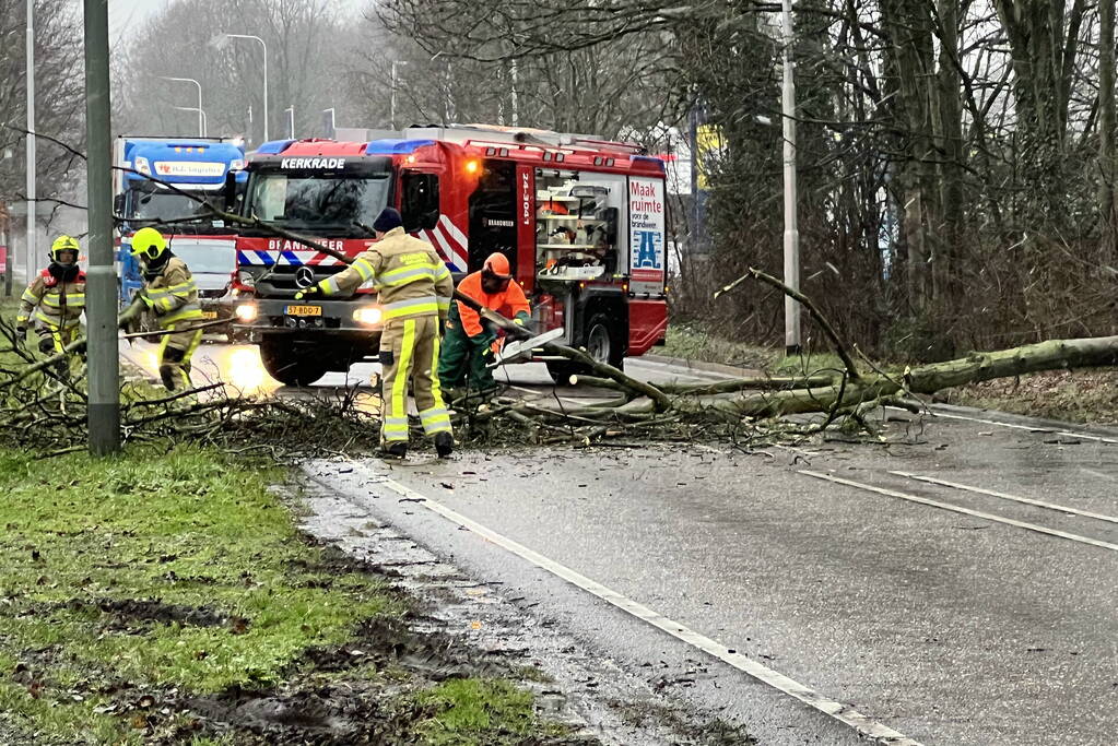 Weg geblokkeerd door omgewaaide boom