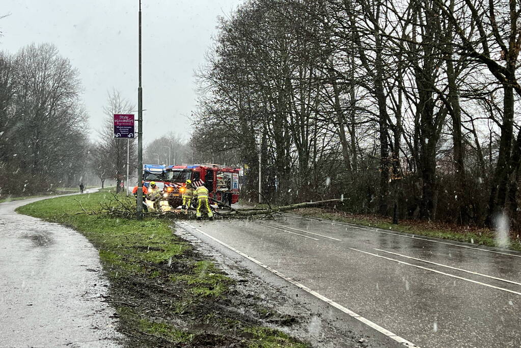 Weg geblokkeerd door omgewaaide boom