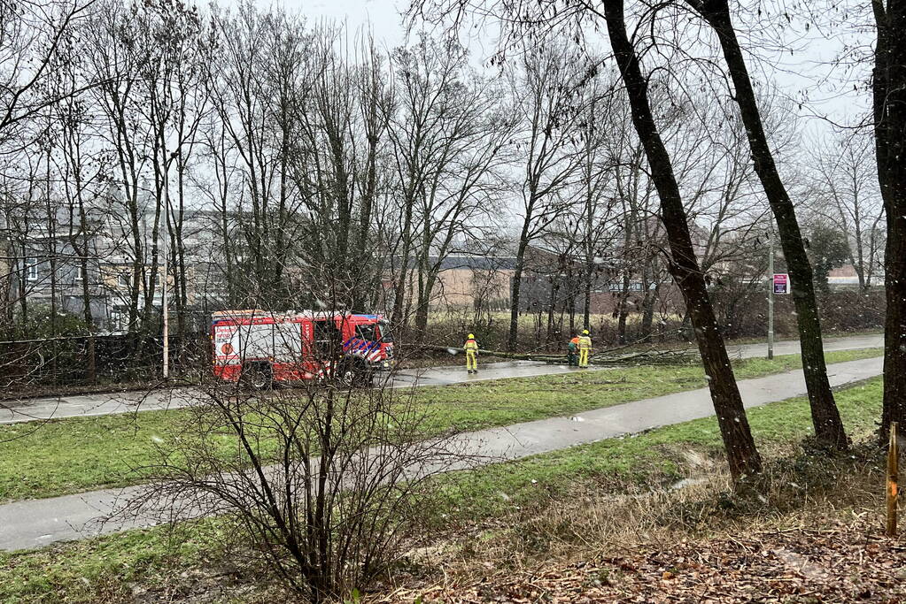 Weg geblokkeerd door omgewaaide boom