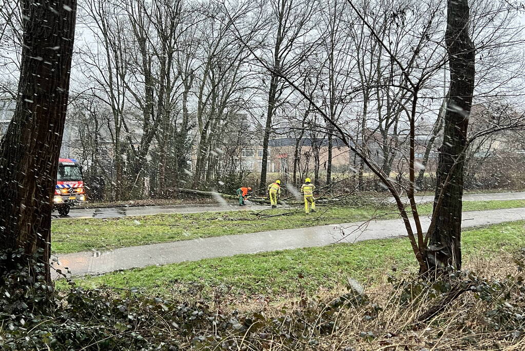 Weg geblokkeerd door omgewaaide boom