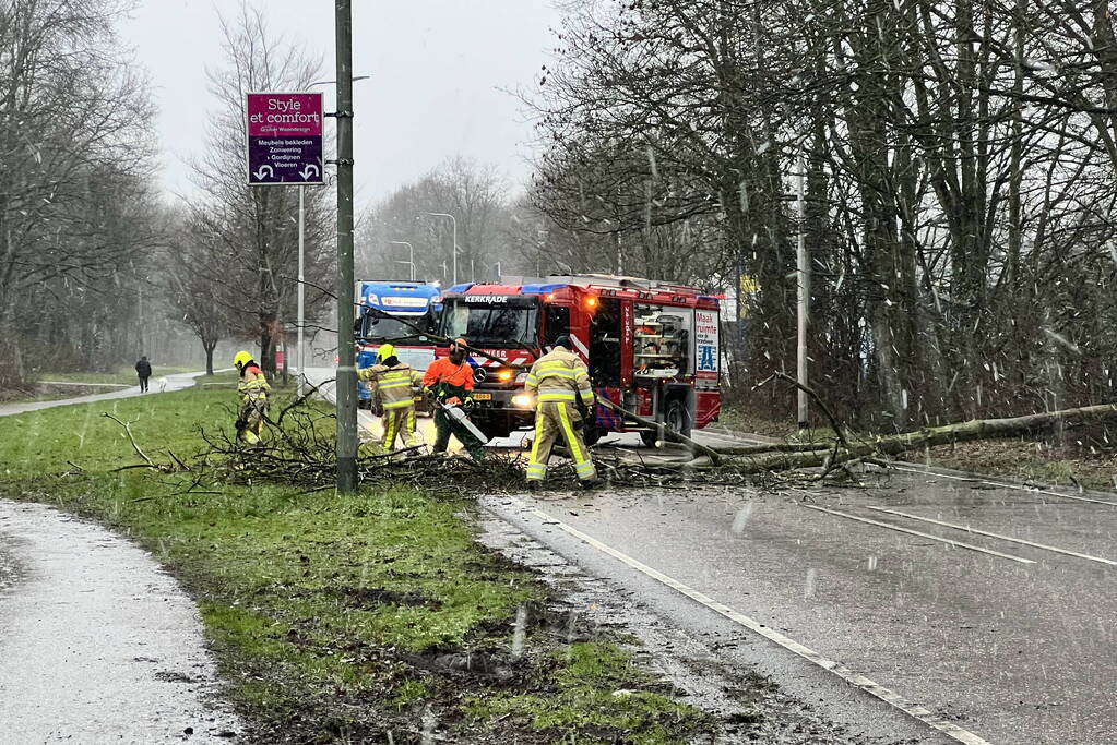 Weg geblokkeerd door omgewaaide boom