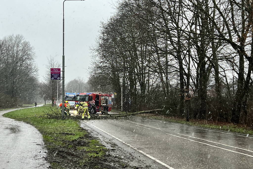 Weg geblokkeerd door omgewaaide boom
