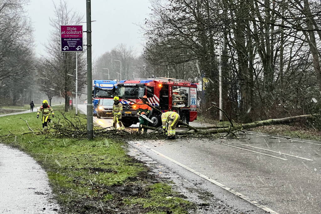 Weg geblokkeerd door omgewaaide boom