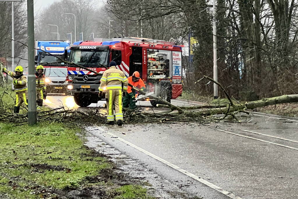 Weg geblokkeerd door omgewaaide boom