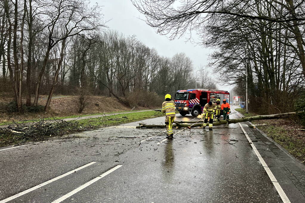 Weg geblokkeerd door omgewaaide boom