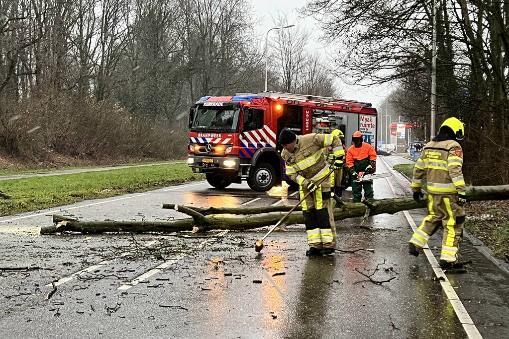 Weg geblokkeerd door omgewaaide boom