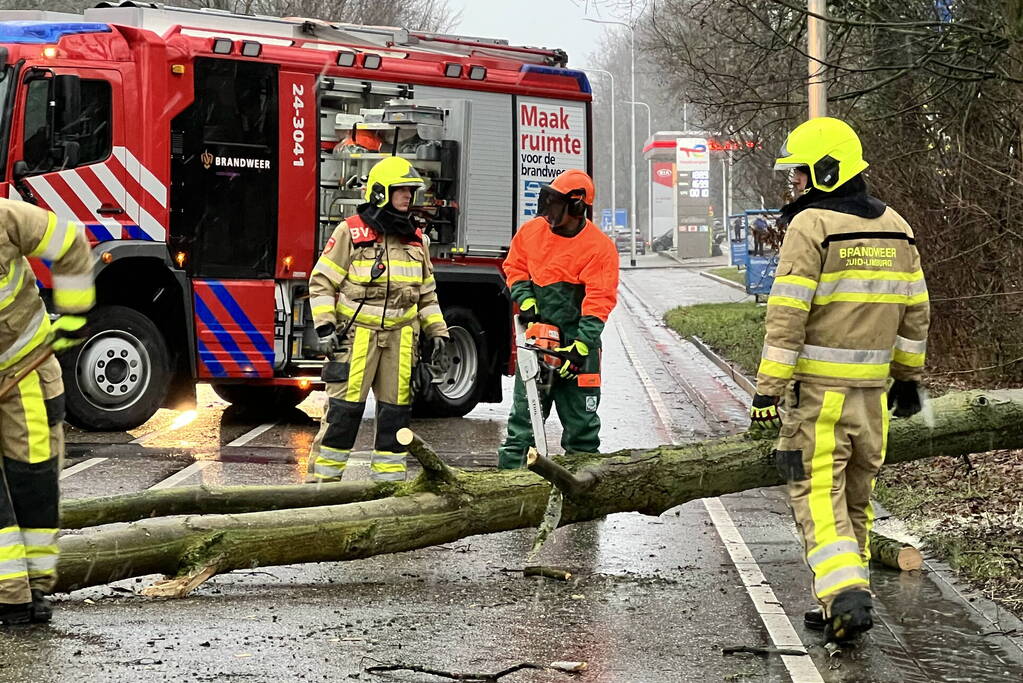 Weg geblokkeerd door omgewaaide boom