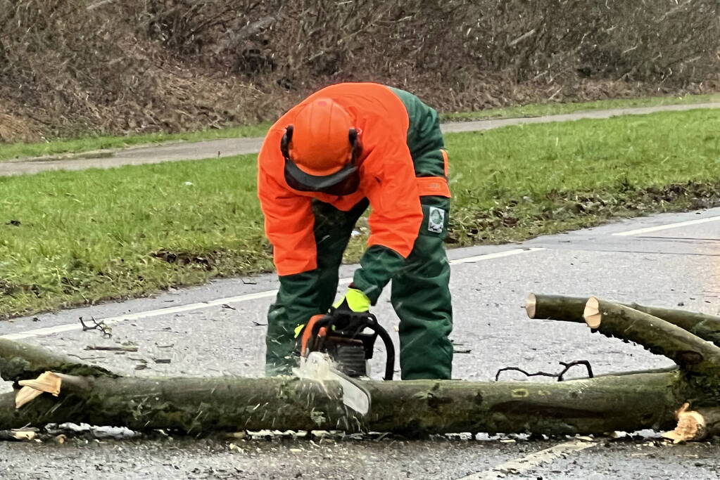 Weg geblokkeerd door omgewaaide boom