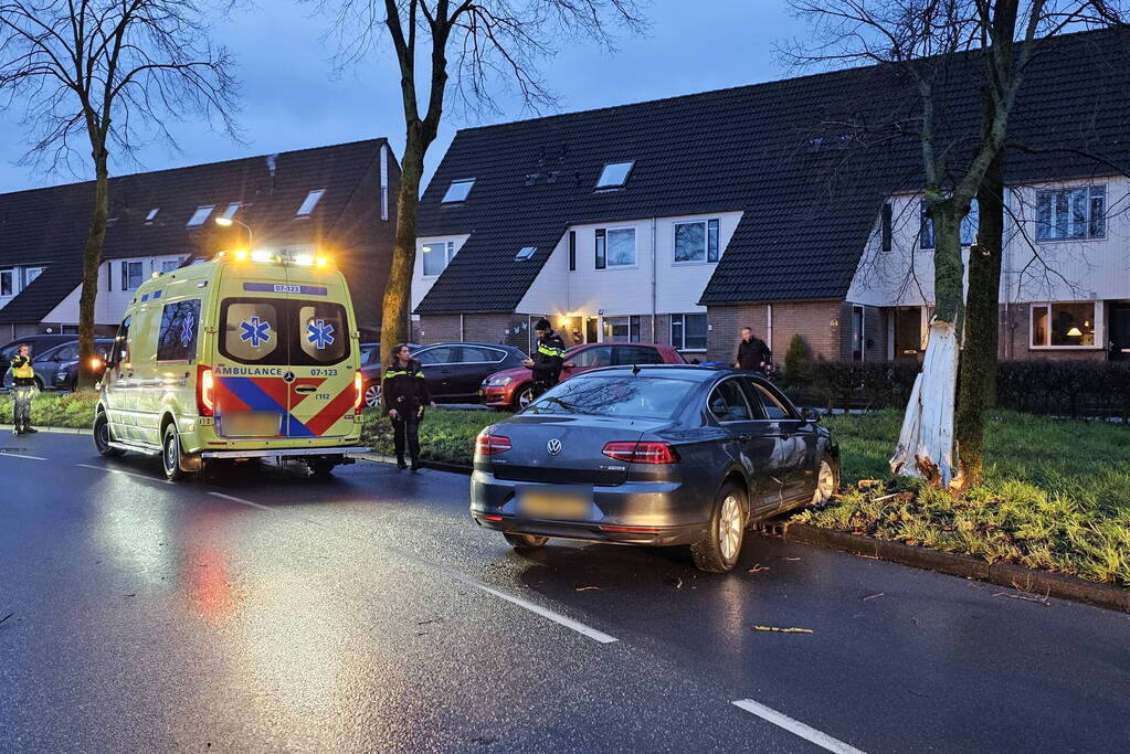 Boom door midden bij aanrijding