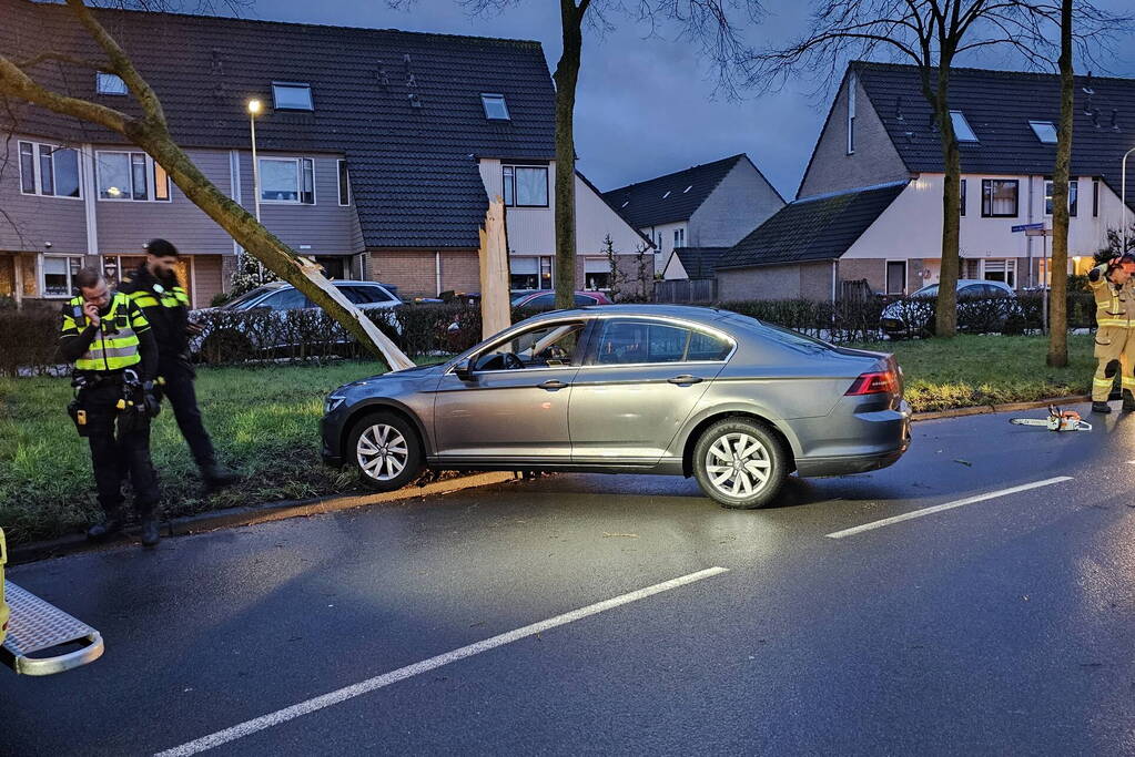 Boom door midden bij aanrijding