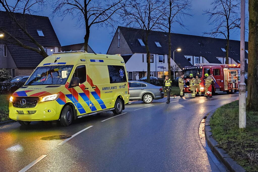 Boom door midden bij aanrijding