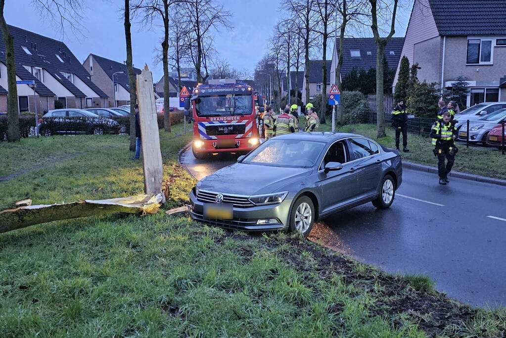 Boom door midden bij aanrijding