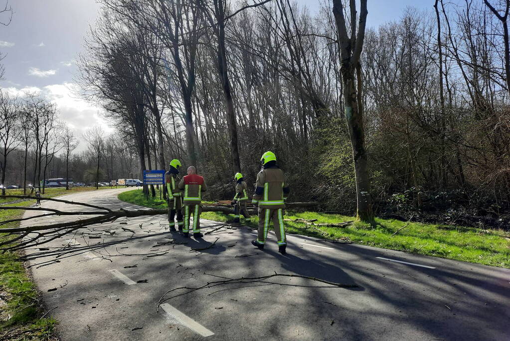 Omgewaaide bomen blokkeren weg