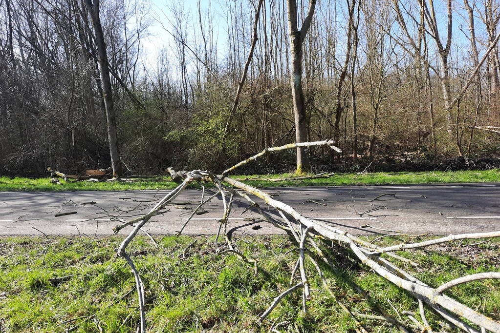 Omgewaaide bomen blokkeren weg