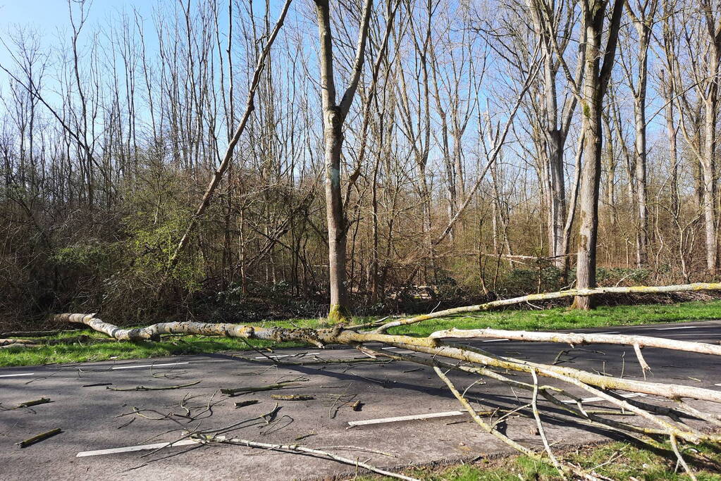 Omgewaaide bomen blokkeren weg