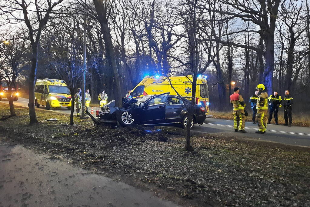 Zwaargewonde nadat personenauto zich in boom boort