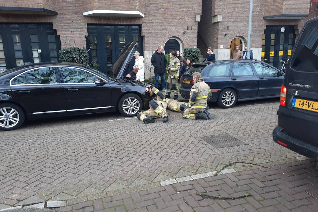 Brandweer bevrijdt kat uit motorcompartiment