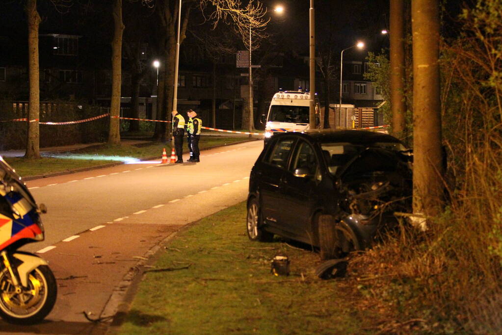 Twee gewonden bij frontale botsing tegen boom