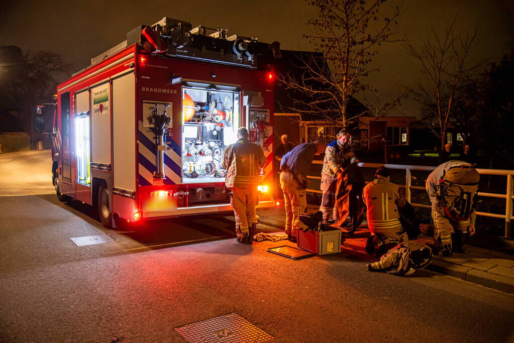 Meerdere schapen springen in sloot door ontsnapte honden, één schaap overleden