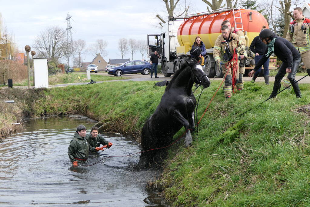 Paard belandt in diepe sloot