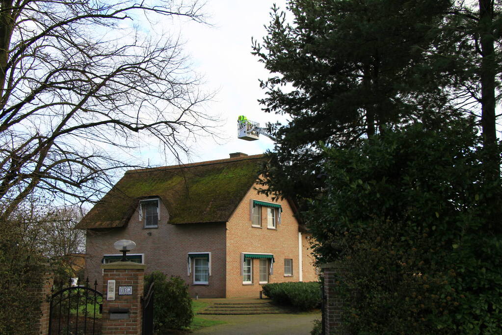 Kraai vast in schoorsteen van woning