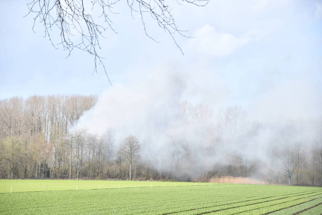 Flinke rookontwikkeling bij brand in bosgebied