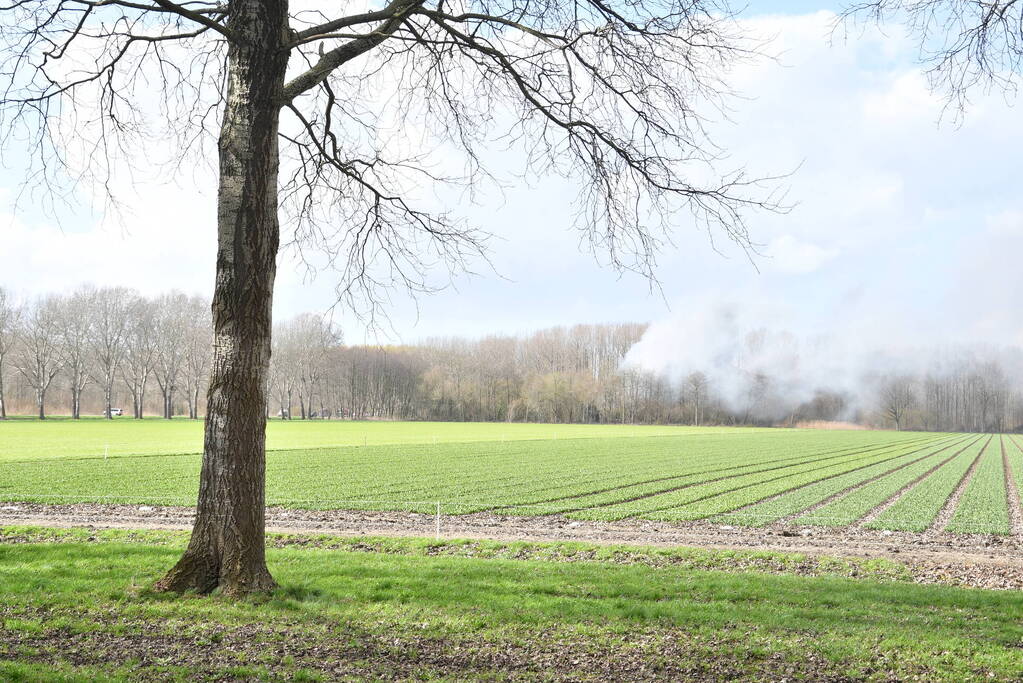 Flinke rookontwikkeling bij brand in bosgebied