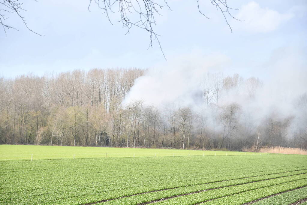 Flinke rookontwikkeling bij brand in bosgebied
