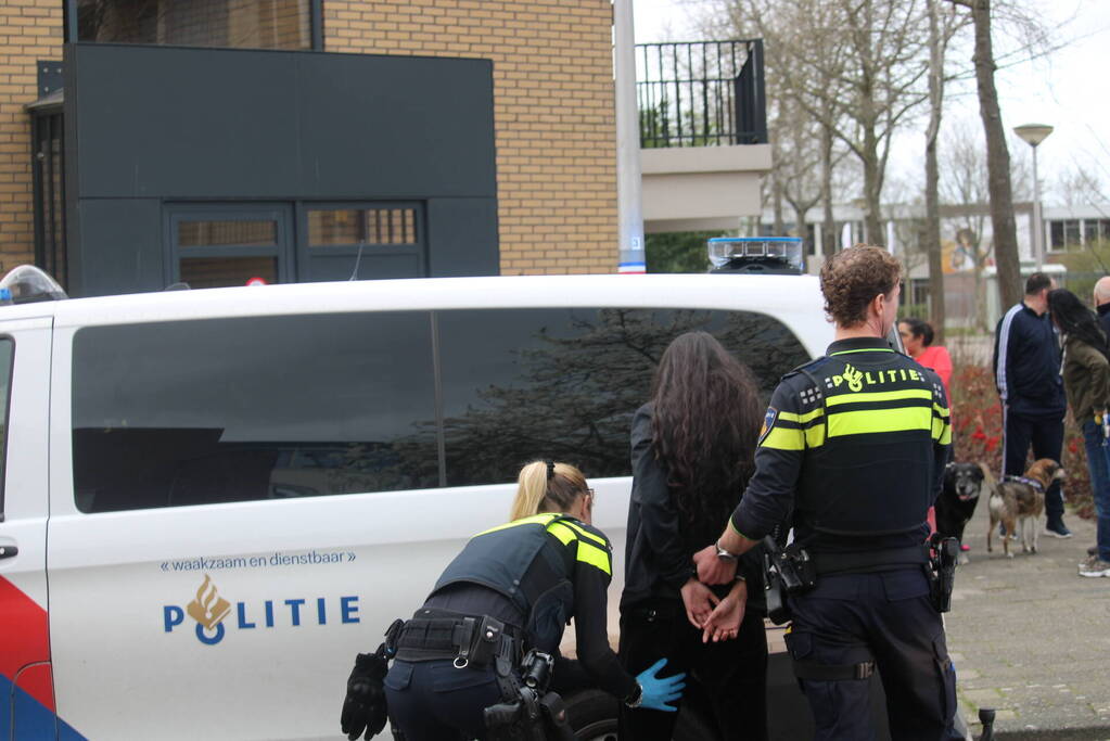 Politie trekt vuurwapen bij aanhoudingen na steekpartij