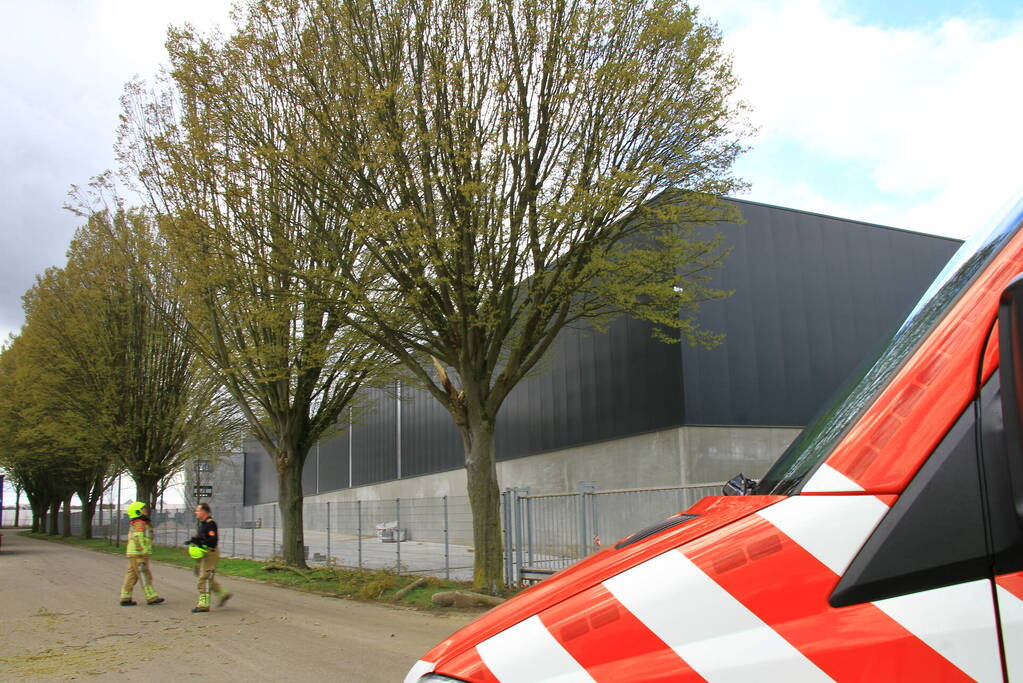 Grote tak breekt uit boom en belandt op weg