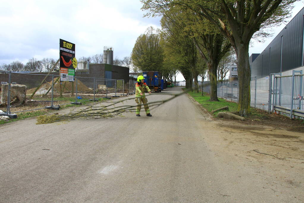 Grote tak breekt uit boom en belandt op weg