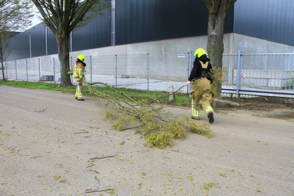 Grote tak breekt uit boom en belandt op weg