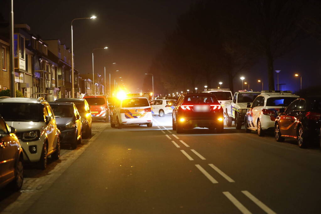 Vrouw en hond doodgereden