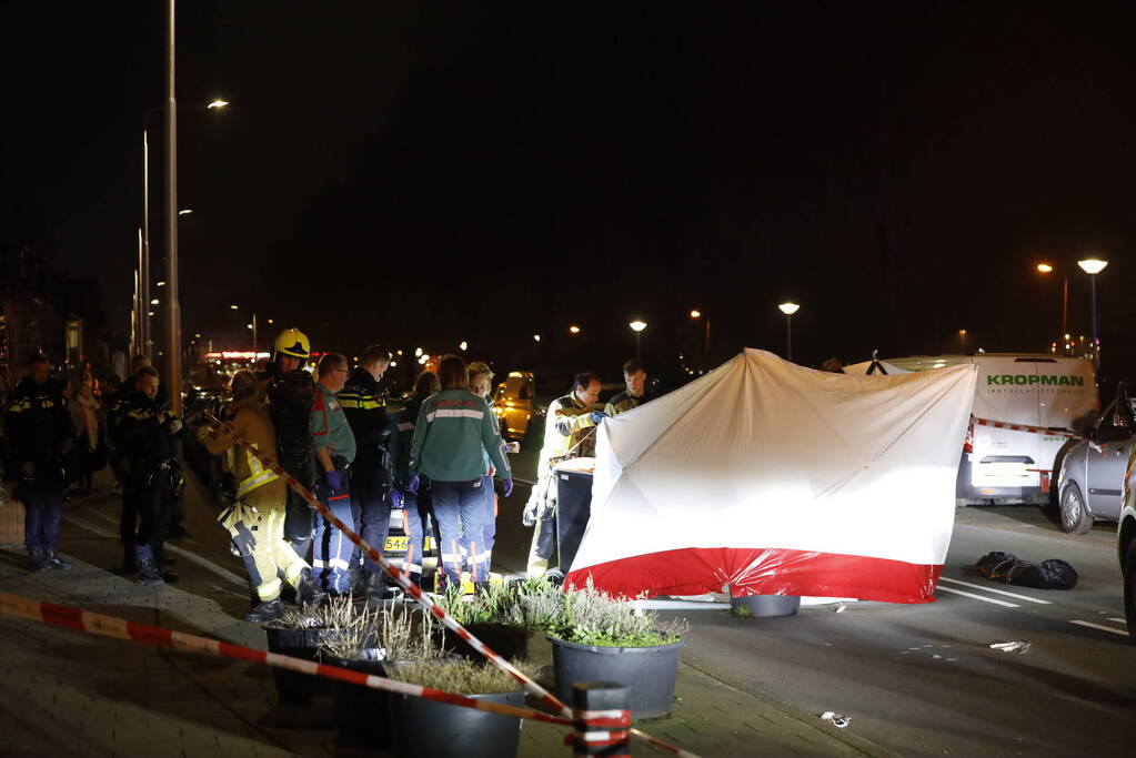 Vrouw en hond doodgereden