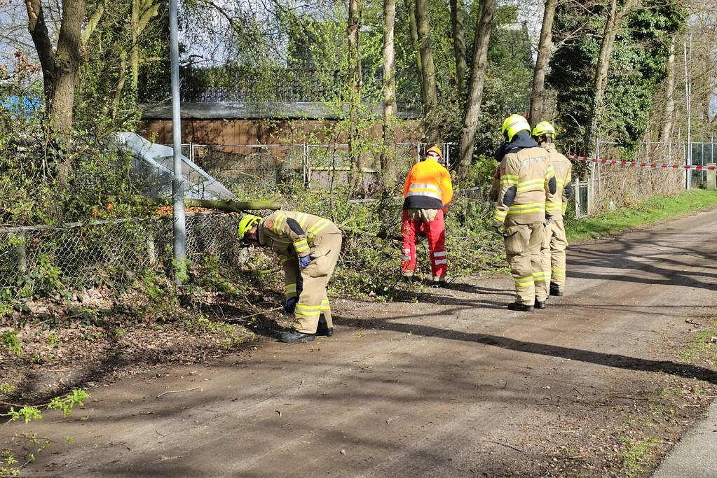 Brandweer zaagt deels omgewaaide boom om