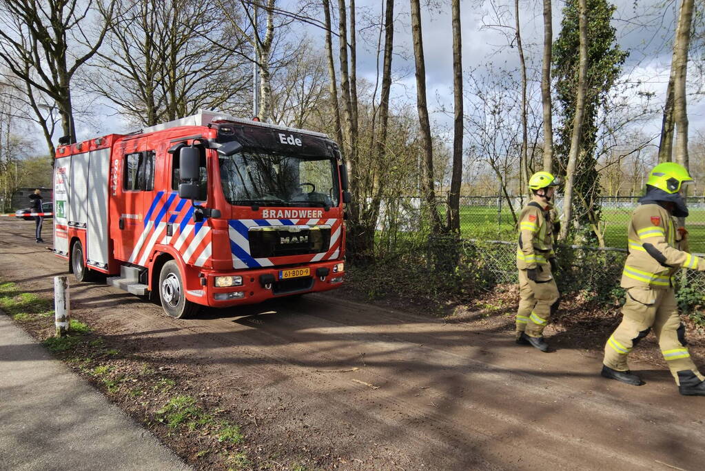 Brandweer zaagt deels omgewaaide boom om