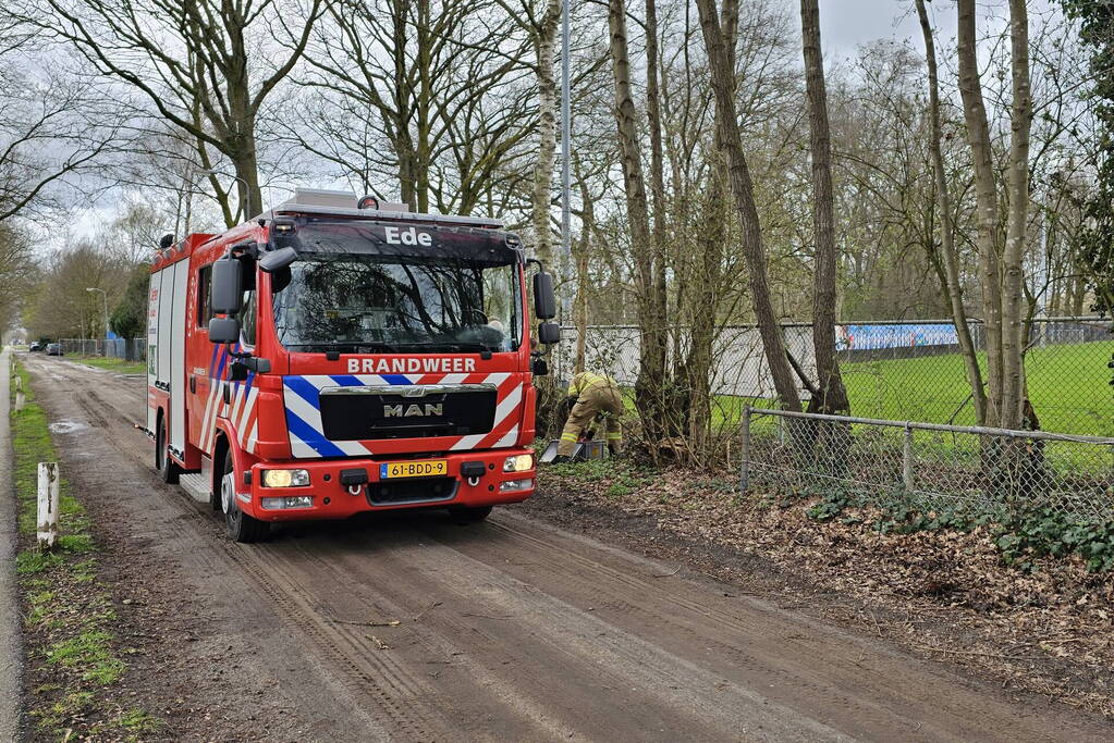 Brandweer zaagt deels omgewaaide boom om