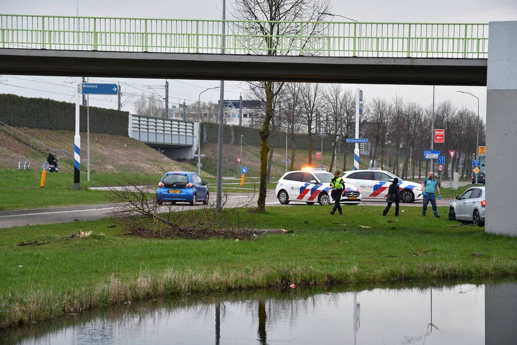 Auto botst op lantaarnpaal en boom