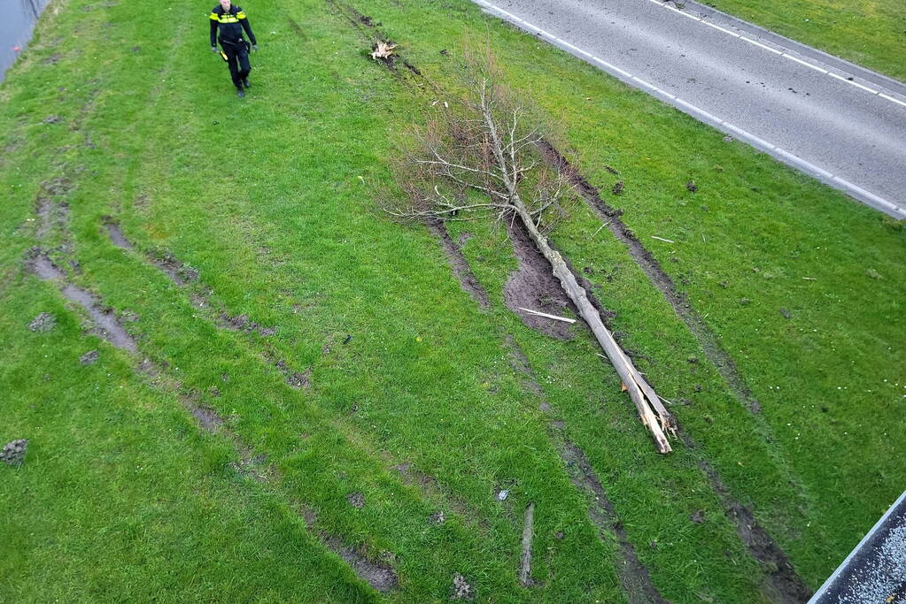 Auto botst op lantaarnpaal en boom