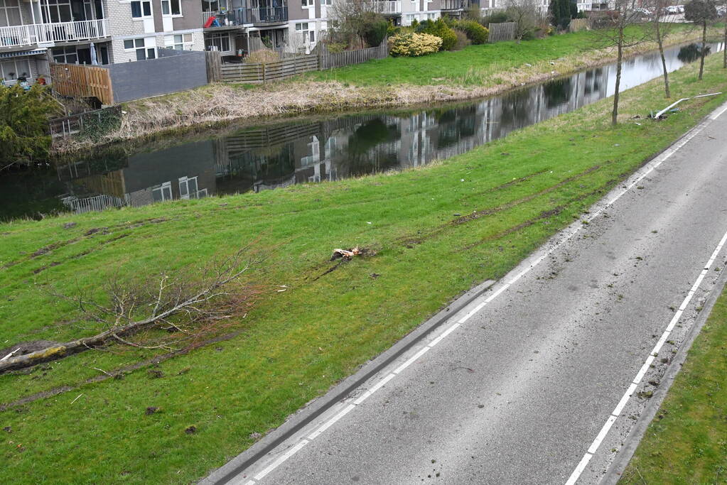 Auto botst op lantaarnpaal en boom